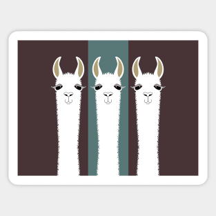 LLAMA TRIPLETS Sticker